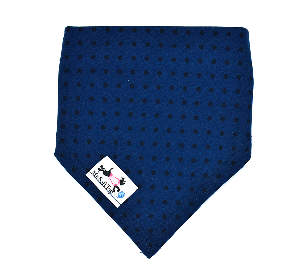 Bundle 10 Colourful Bandanas