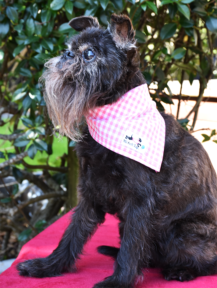 Pink and White Gingham Bandana