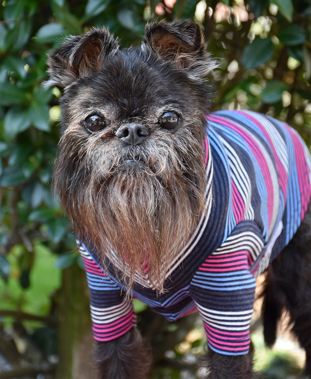 Pink/Blue/Charcoal/White Striped Cotton Tee