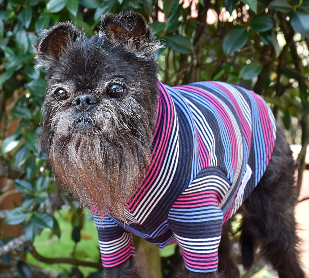 Pink/Blue/Charcoal/White Striped Cotton Tee