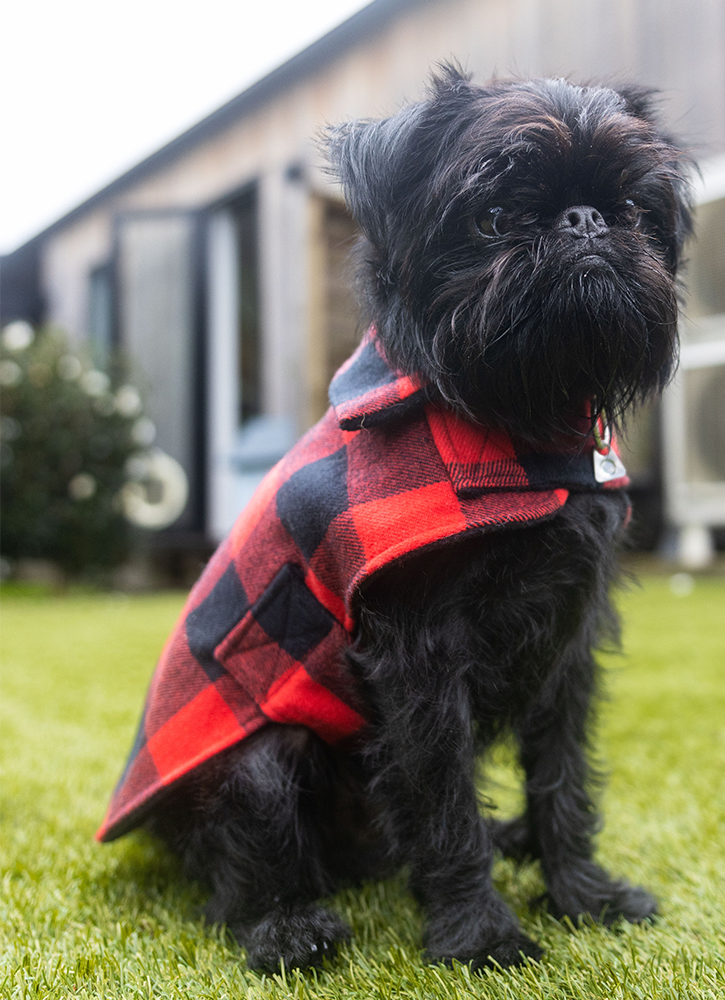 Red and Black Check Lined Wool Walking Coat