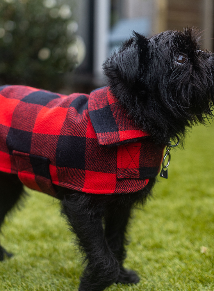 Red and Black Check Lined Wool Walking Coat