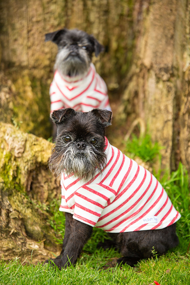 Red and Cream Striped Cotton Tee