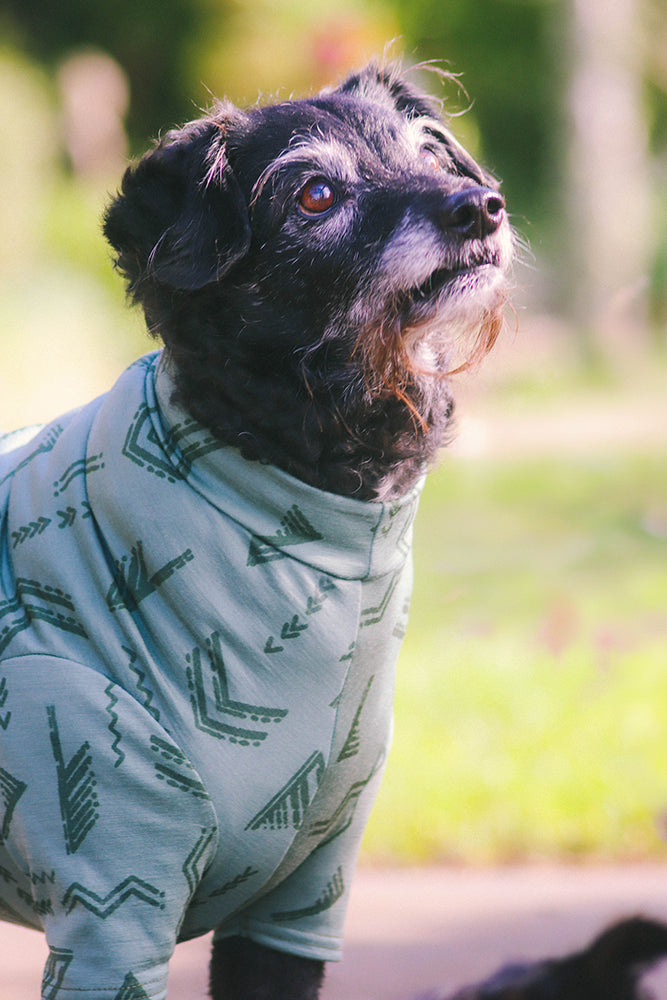 Soft Green Abstract Pattern Merino Tee
