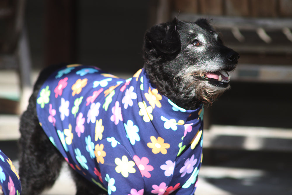A Daisy a Day Cotton Spring Tee