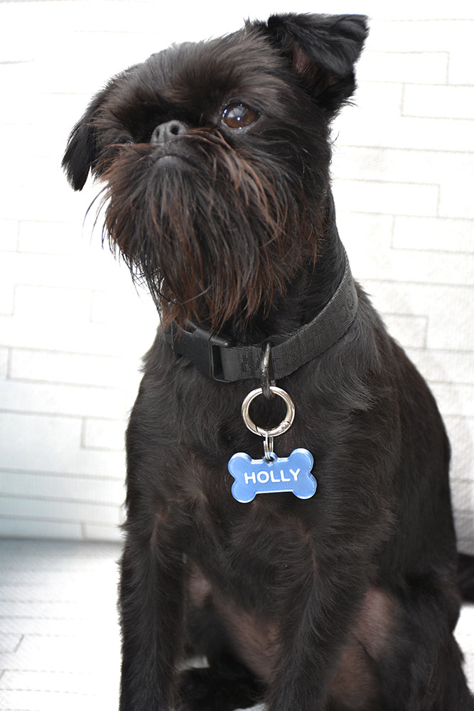 Say My Name - Custom Bone Shaped Name Tag - Silver Blue