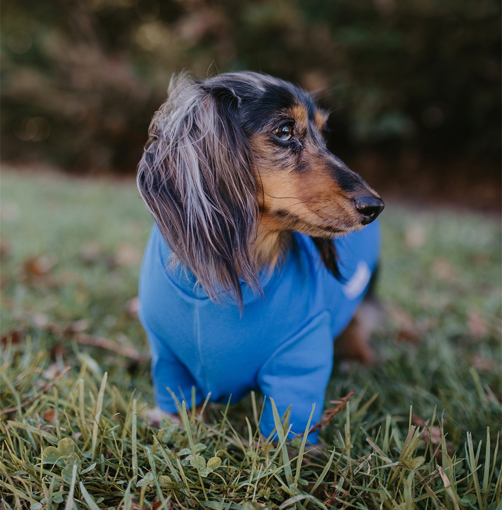 Sky Blue Merino Tee