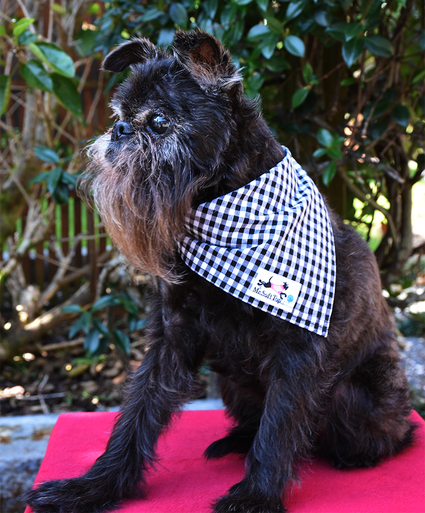 Black and White Gingham Bandana