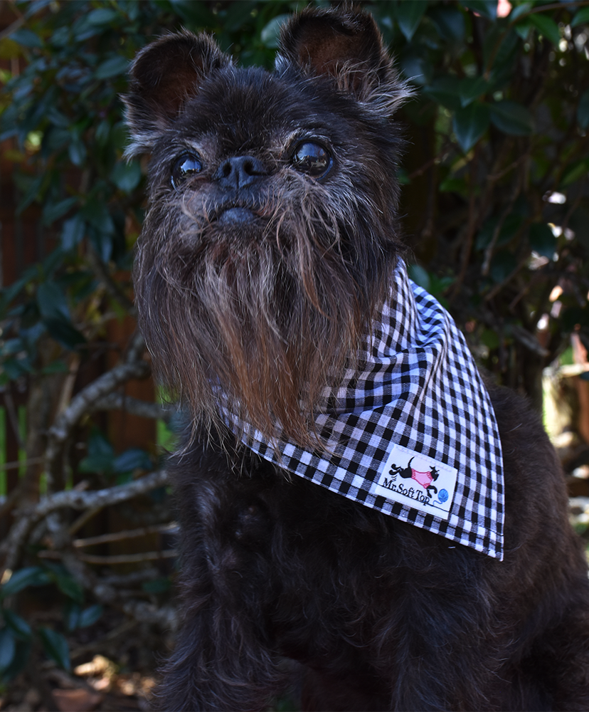 Black and White Gingham Bandana