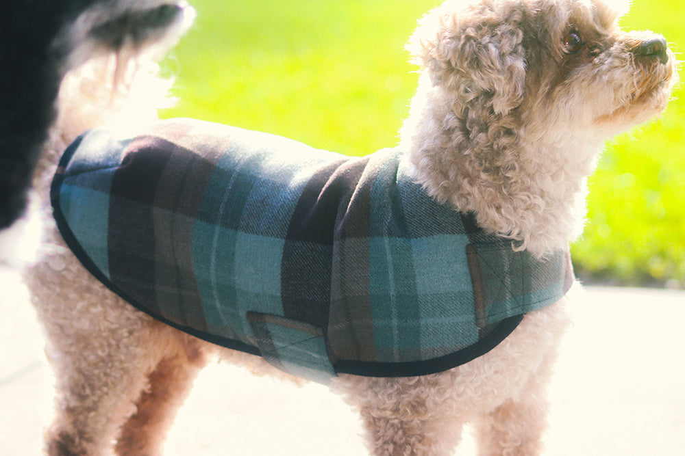 Soft Sea Green Tartan Wool Dog Coat