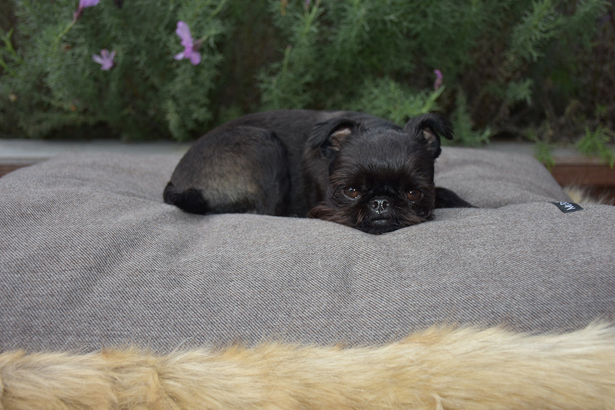 Soft Luxurious Faux Fur Bed