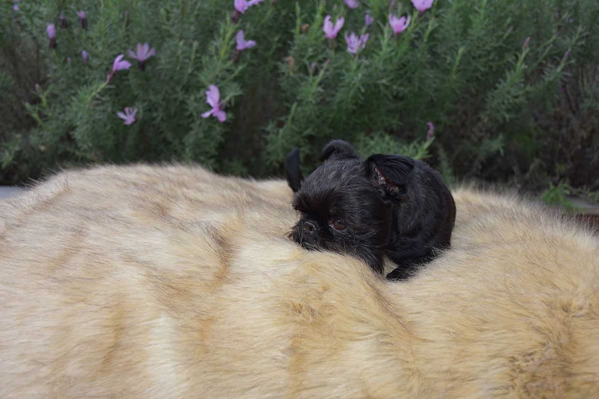 Soft Luxurious Faux Fur Bed