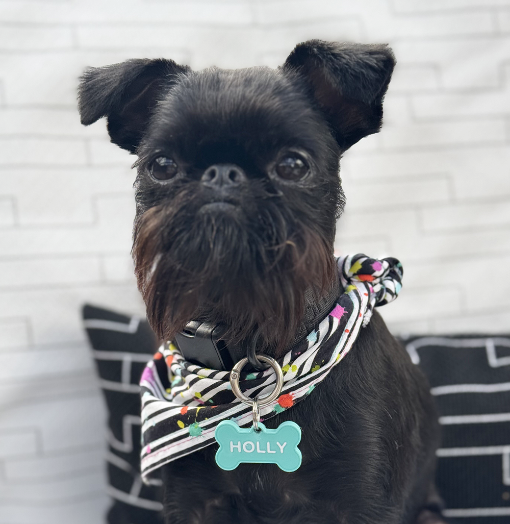 Say My Name - Custom Name Tag - Bone