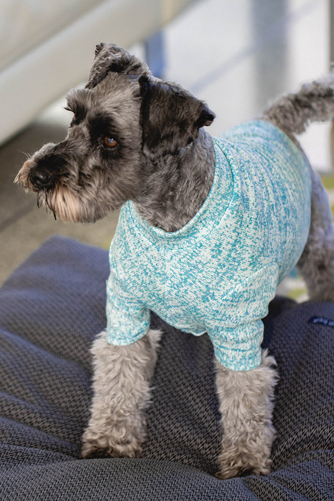 Light Aqua Speckled Merino Tee