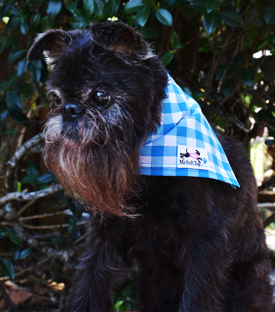 Turquoise and White Check Bandana