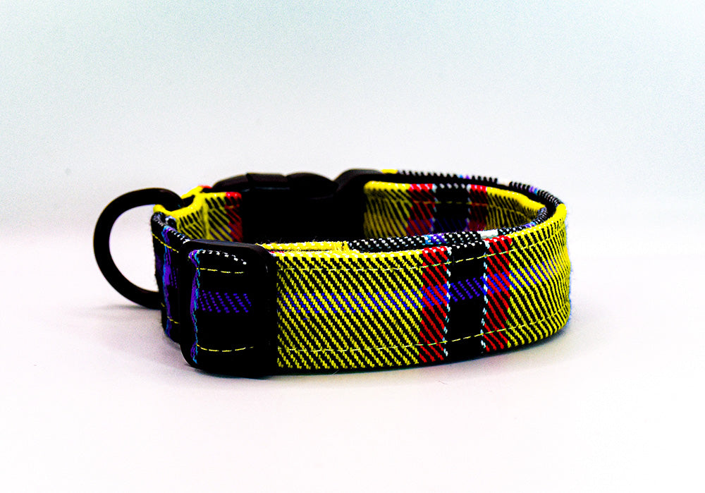 Yellow Tartan Collar