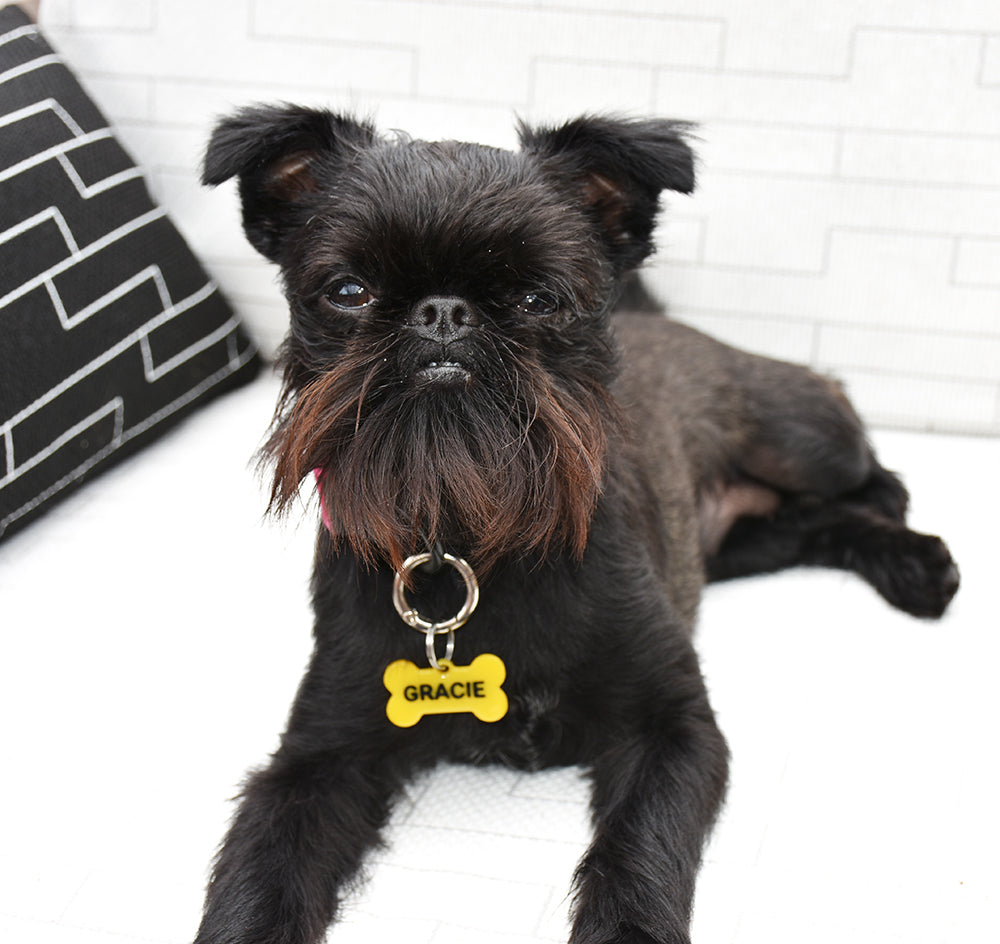 Say My Name - Custom Bone Shaped Name Tag - Yellow