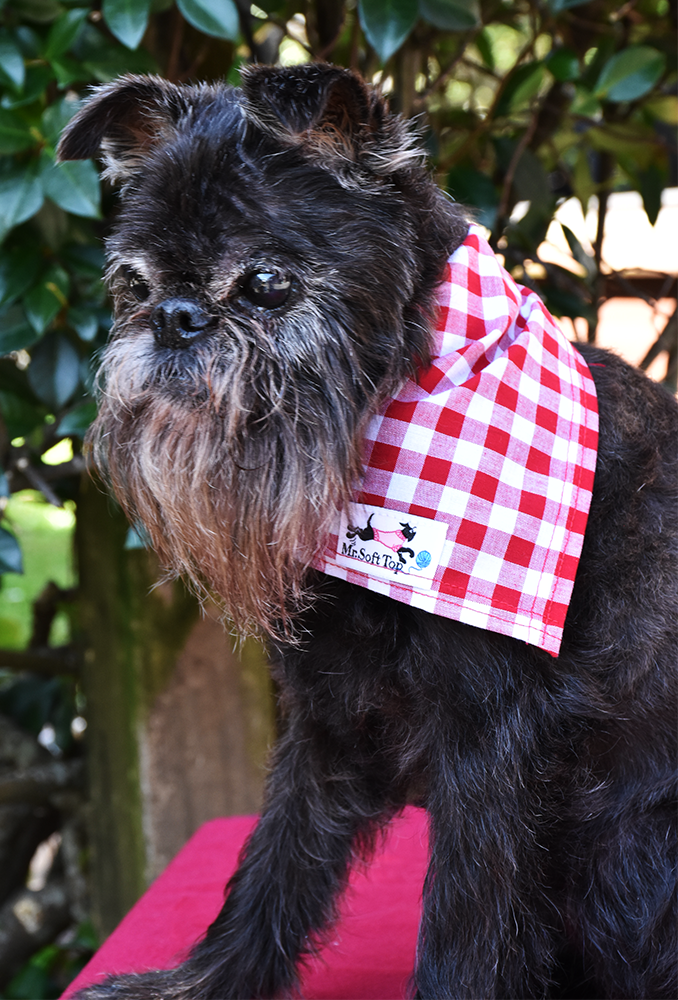 Red and White Check Bandana