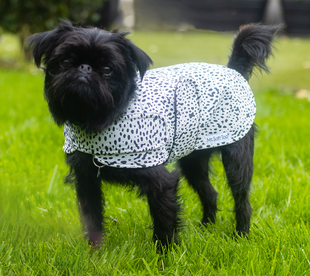 Dalmatian raincoat discount