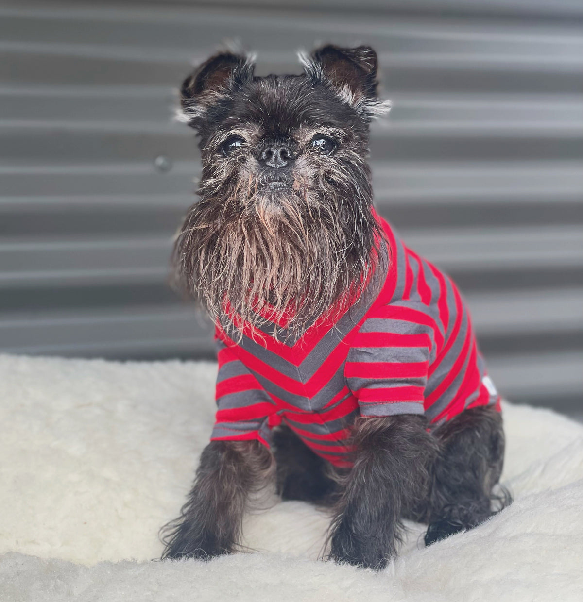 Red and Dark Green striped Cotton Viscose Tee