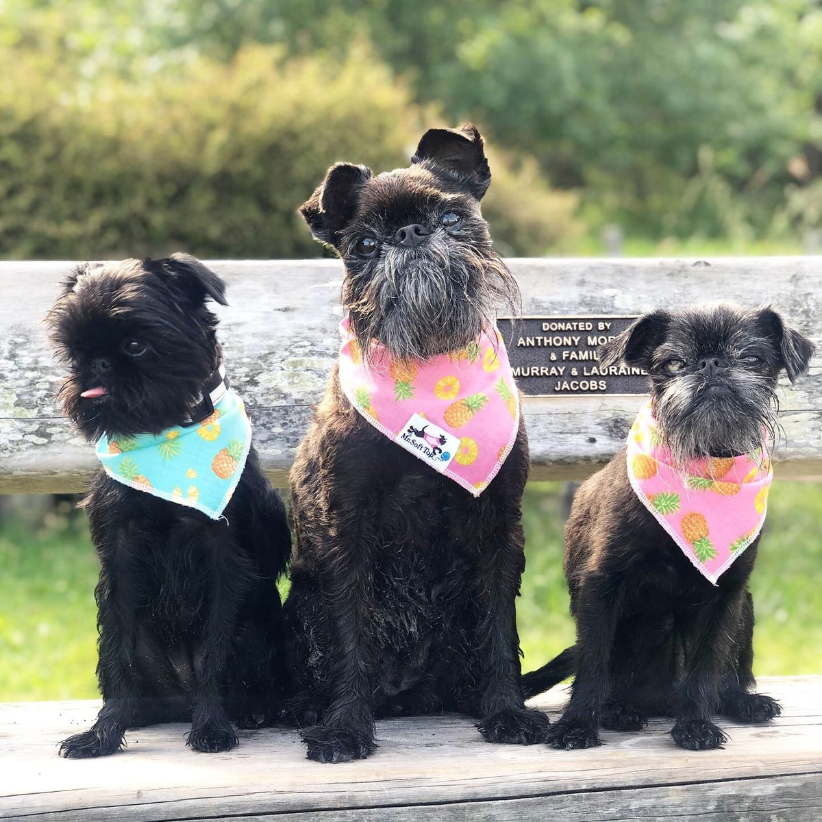 Bundle 10 Colourful Bandanas