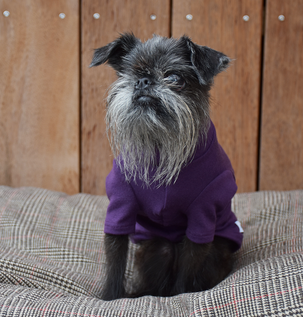 Aubergine Medium Weight Merino Tee