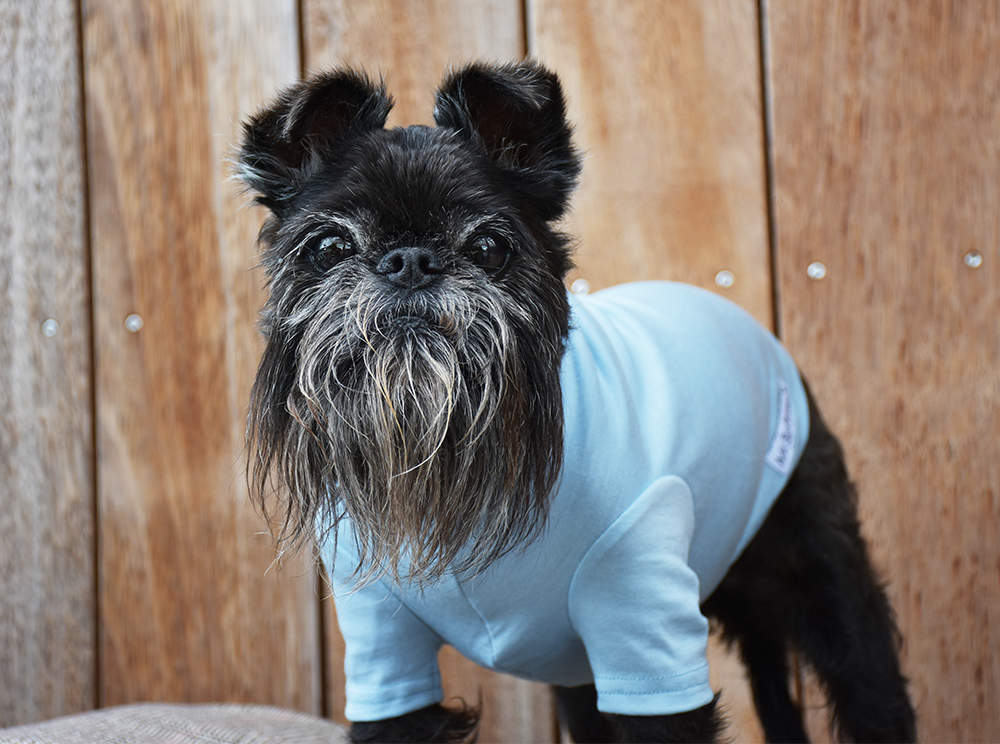 Baby Blue 100% Merino Tee