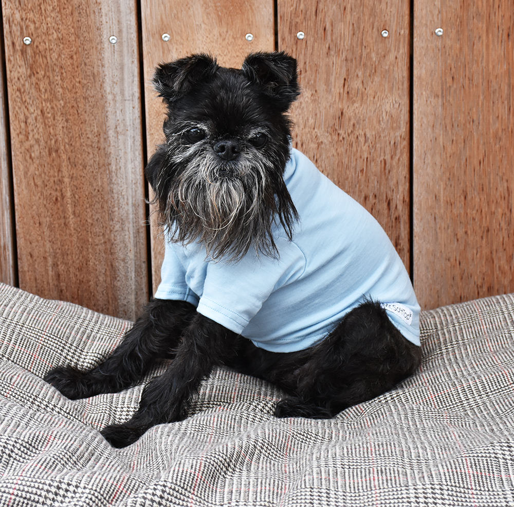 Baby Blue 100% Merino Tee