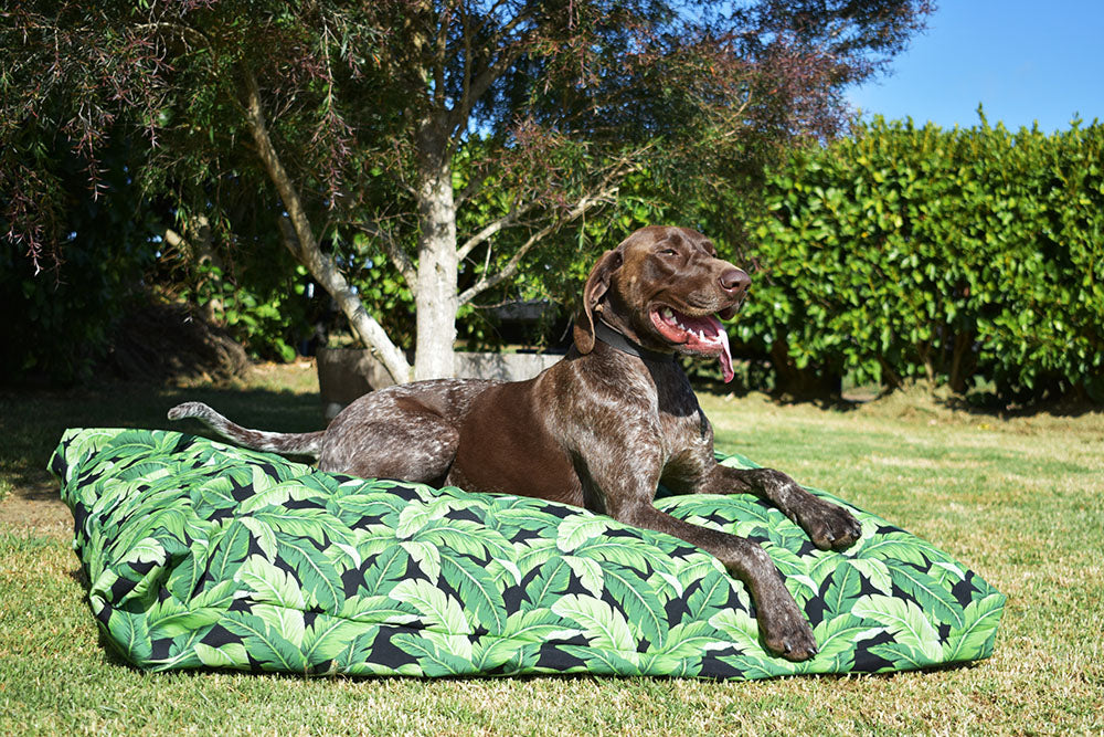 Jungle Leaves Outdoor Dog Bed