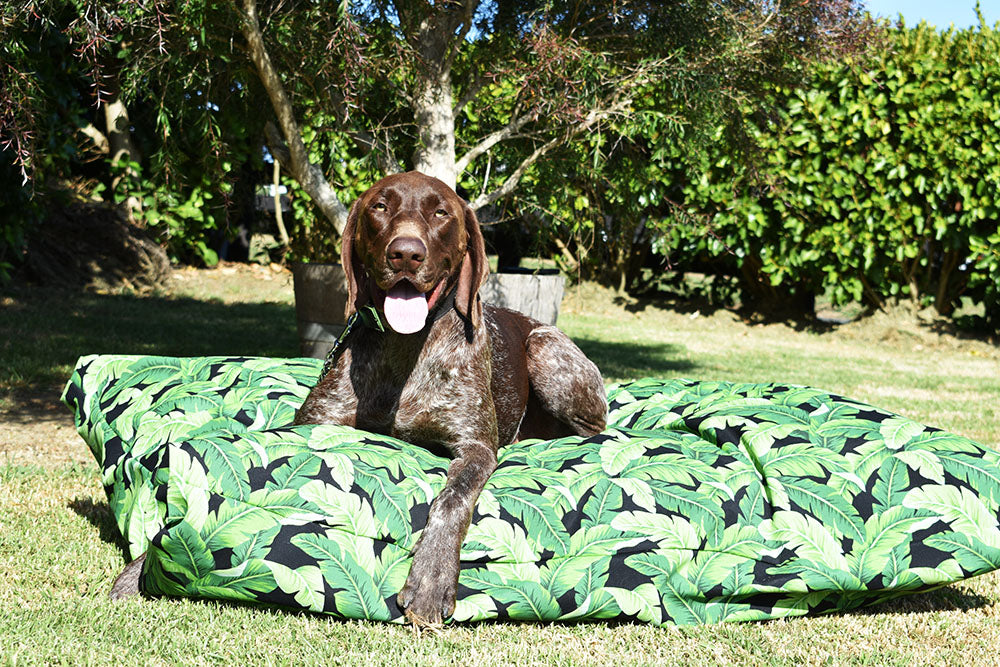 Jungle Leaves Outdoor Dog Bed