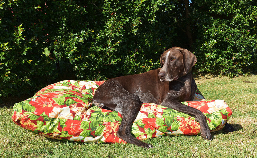 Tropical Garden  Outdoor Dog Bed