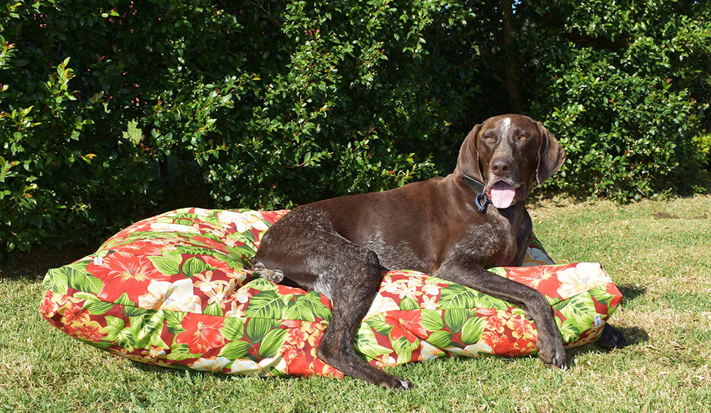 Tropical Garden  Outdoor Dog Bed