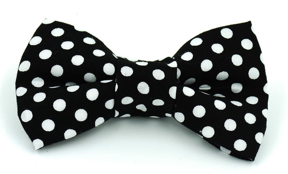 Black with White Spots Bow
