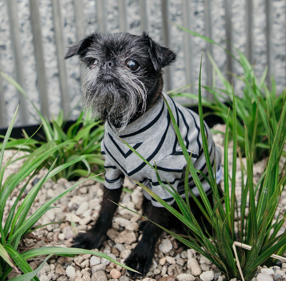 Black and Grey Striped Cotton Tee