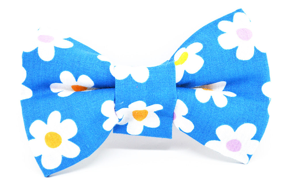 Blue with White Daisies Bow Tie