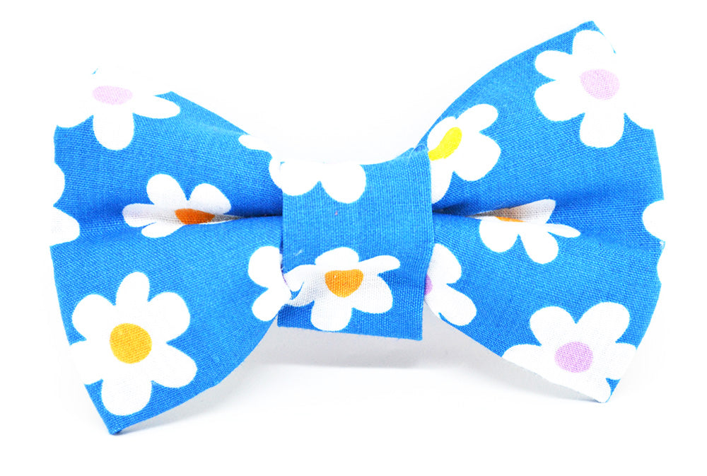Blue with White Daisies Bow Tie