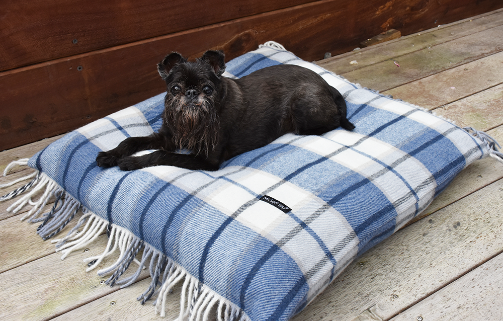 Blue and White Tartan 100% Lambswool Luxury Dog Bed