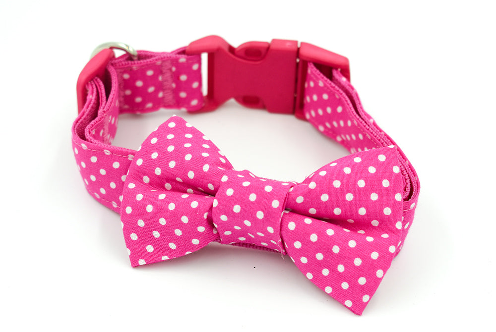 Candy Pink Spot Collar