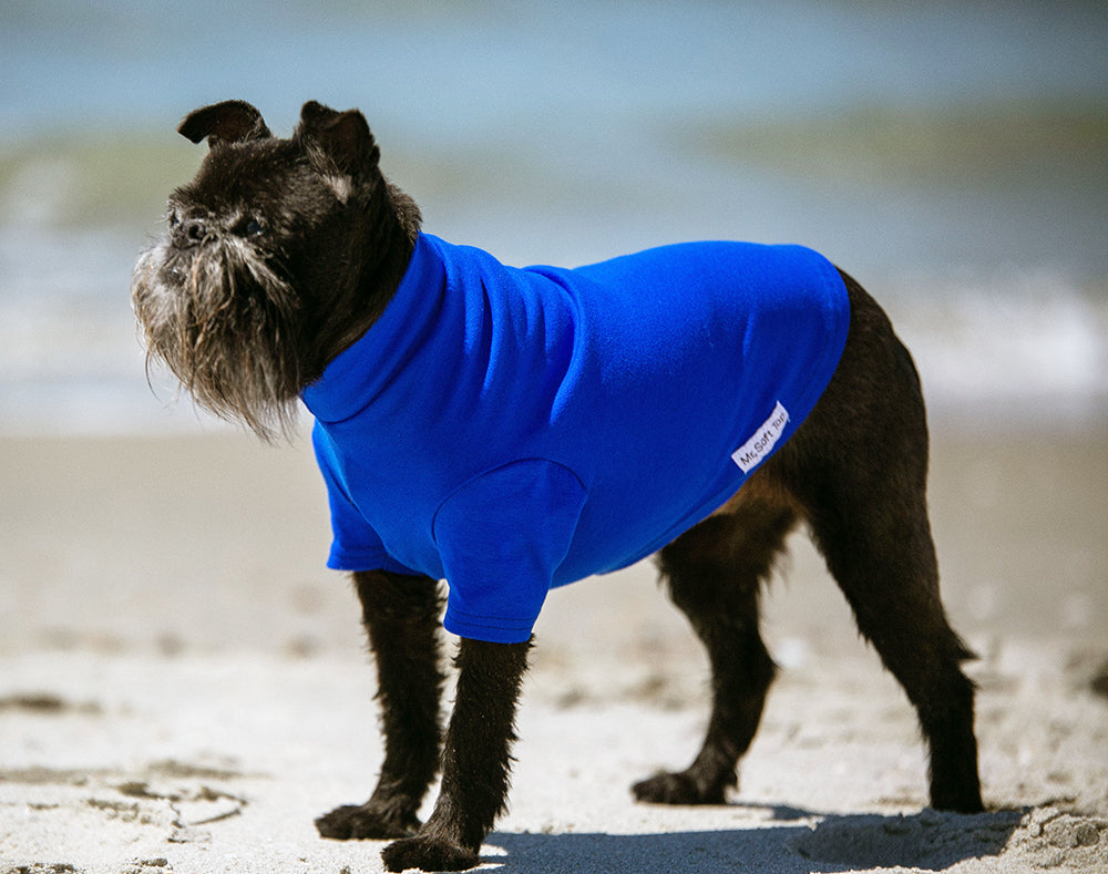 Electric Blue Merino Tee