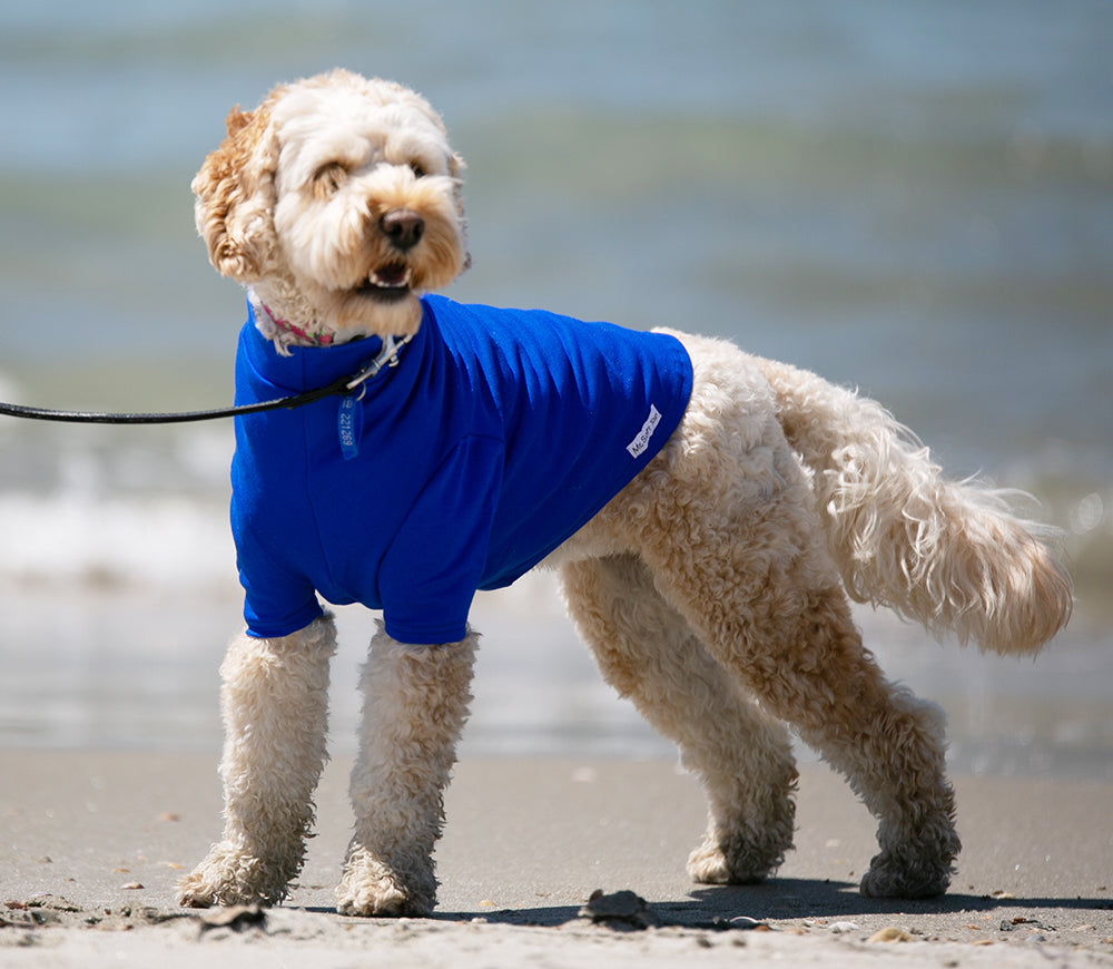 Electric Blue Merino Tee