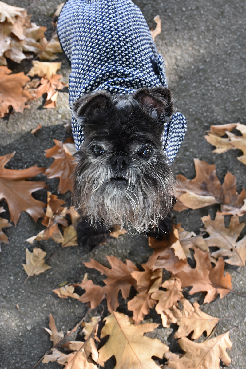 Navy Blue Tweed  Walking Coat
