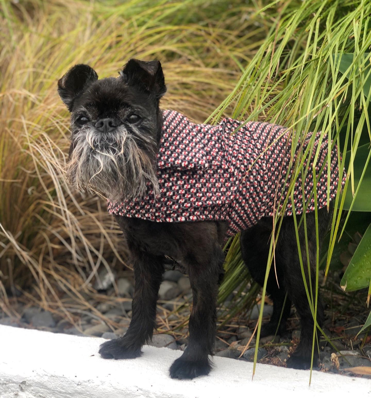 Red Tweed Lined Wool Walking Coat