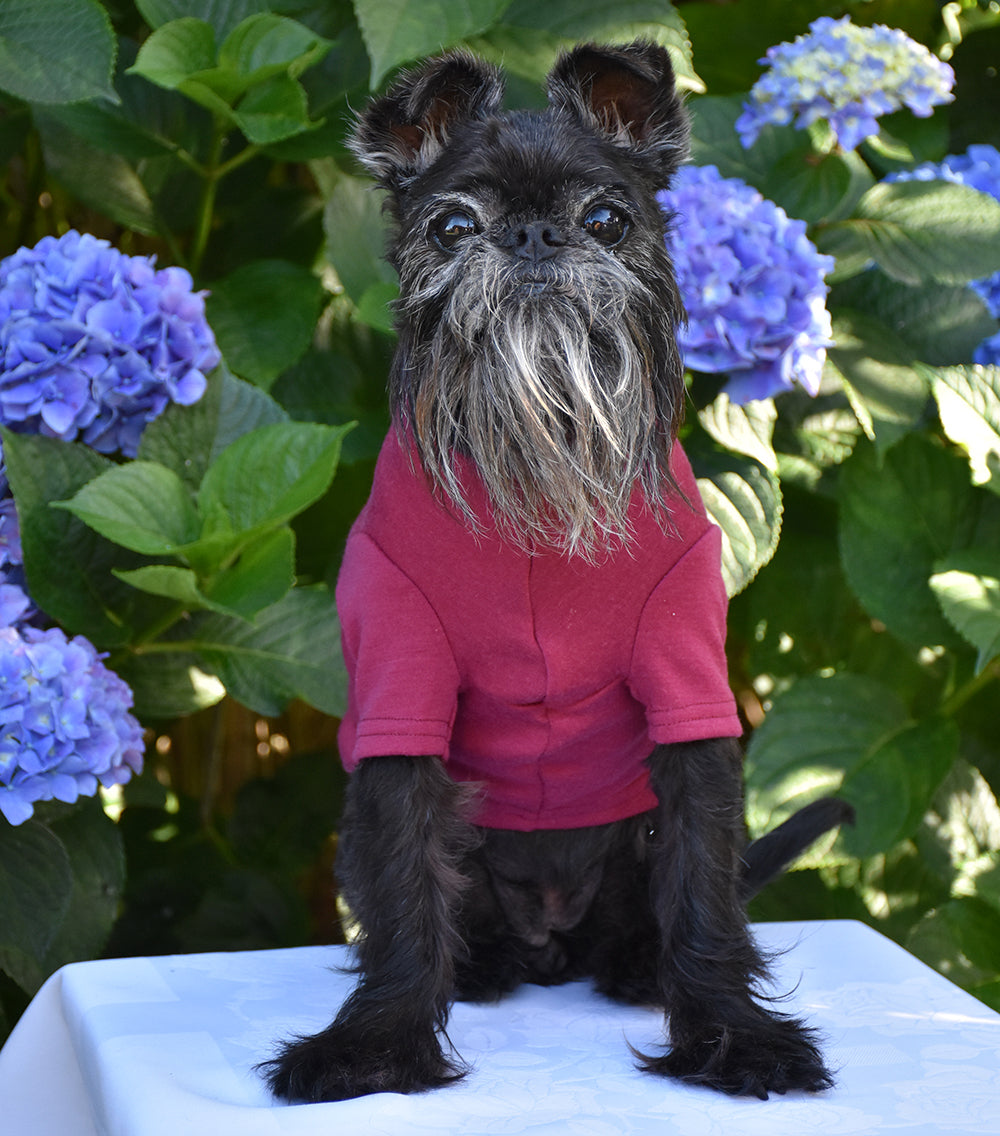 Dark Raspberry Merino Tee