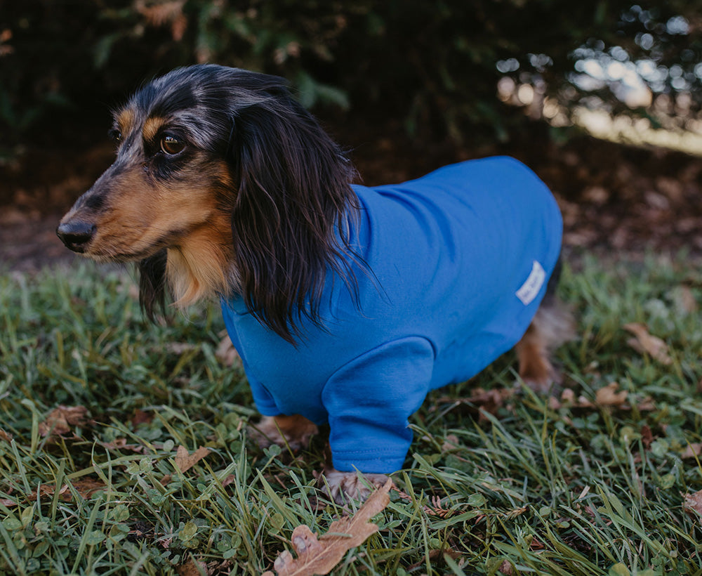 Sky Blue Short and Long Merino Tee