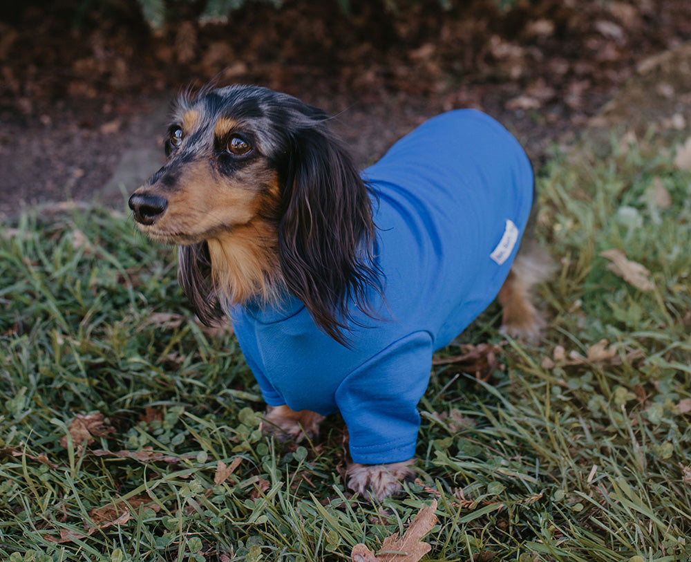 Sky Blue Short and Long Merino Tee