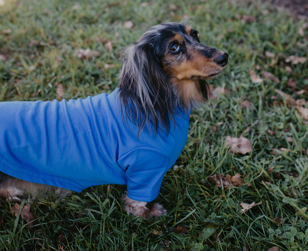 Sky Blue Short and Long Merino Tee