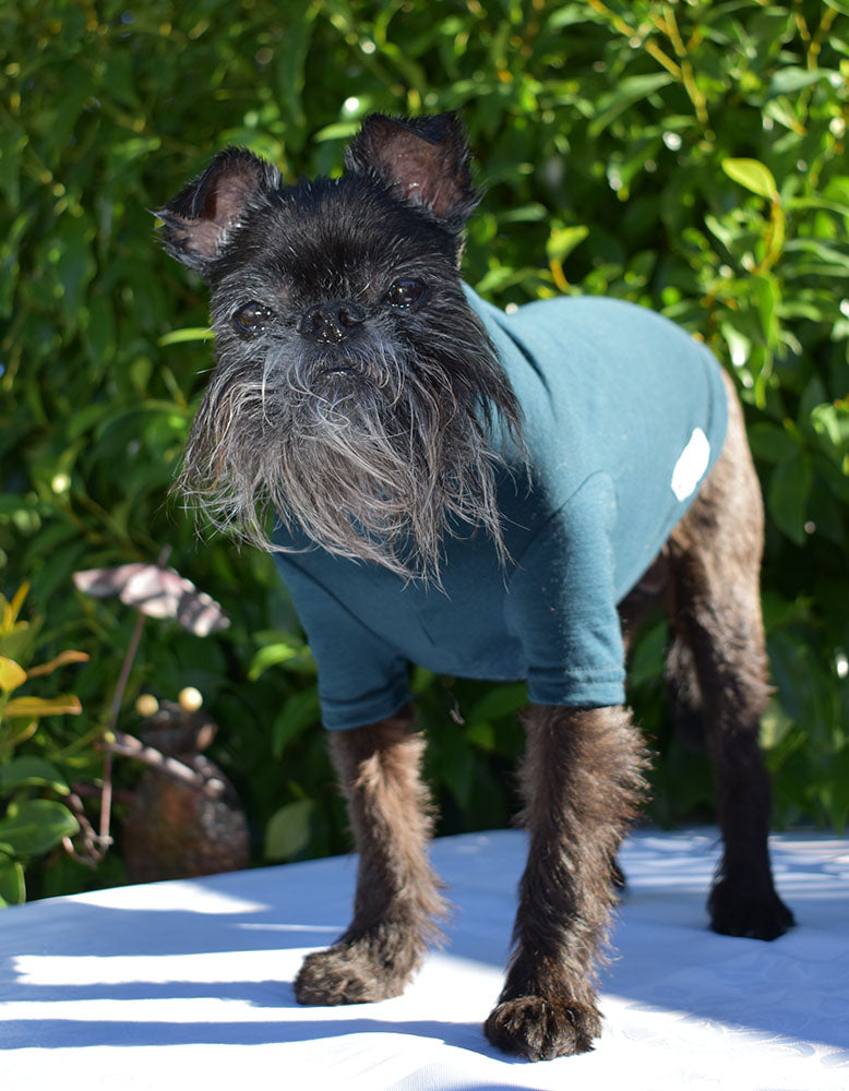 Dark Racing Green Merino Tee