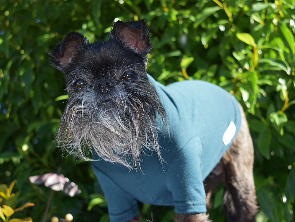 Dark Racing Green Merino Tee