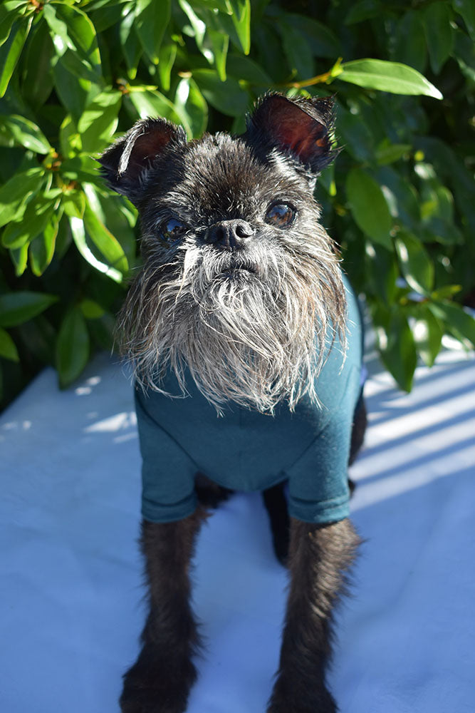 Dark Racing Green Merino Tee