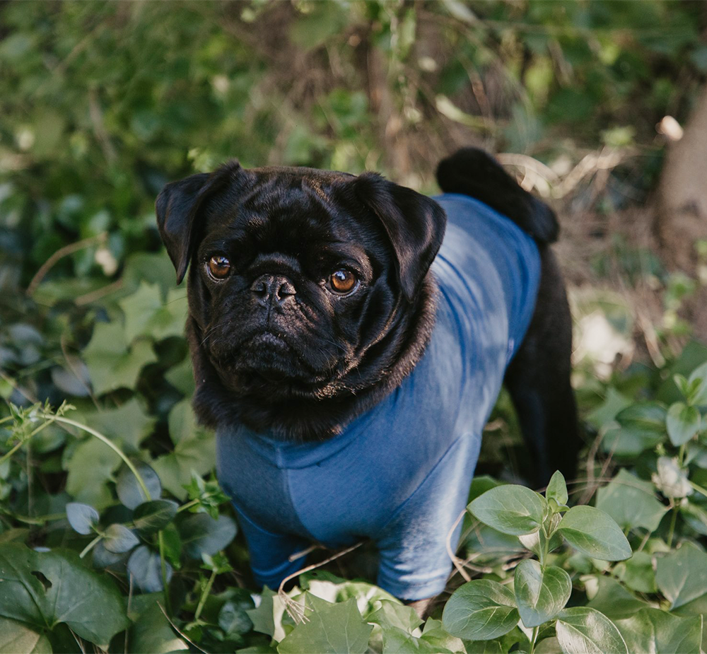 Denim Blue Merino Tee